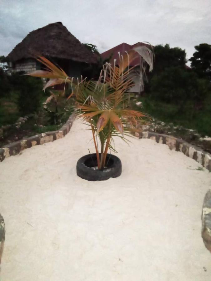 Marashi Villa Nungwi Luaran gambar